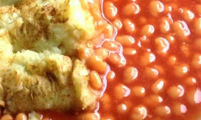 Rotifer – I Just Couldn't Eat As Much As I'd Like To Throw Up