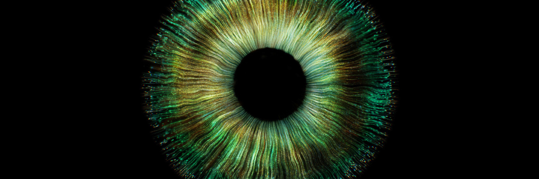 Wohnzimmer Interactive: XRS Medical