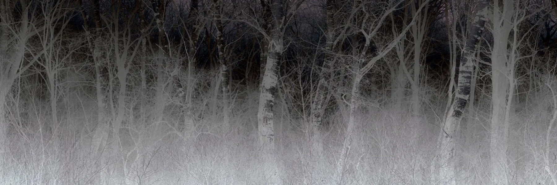 Wohnzimmer Interactive: Yvonne Oswald